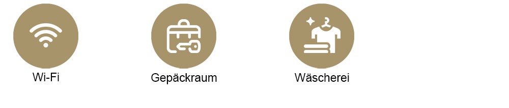 Symbole f&uuml;r WLAN, Gep&auml;ckraum und W&auml;scheservice.