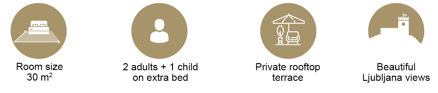 Icons for 30 m&sup2; room, 2 adults + 1 child, private rooftop terrace, and Ljubljana city views.