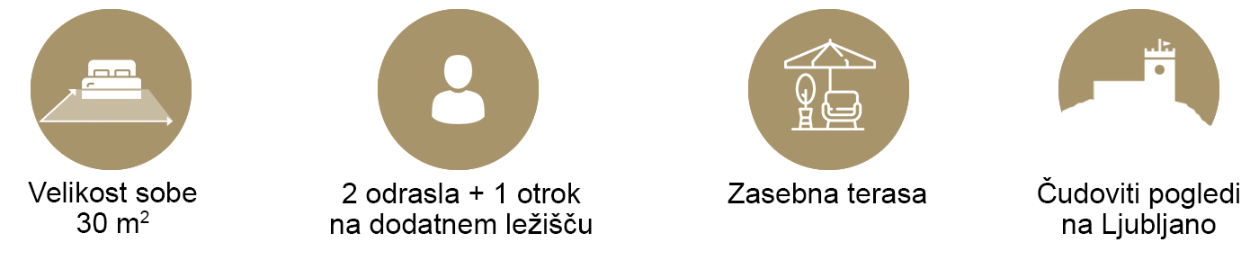 Ikone za sobo 30 m&sup2;, 2 odrasla + 1 otrok, zasebna terasa in razgled na Ljubljano.